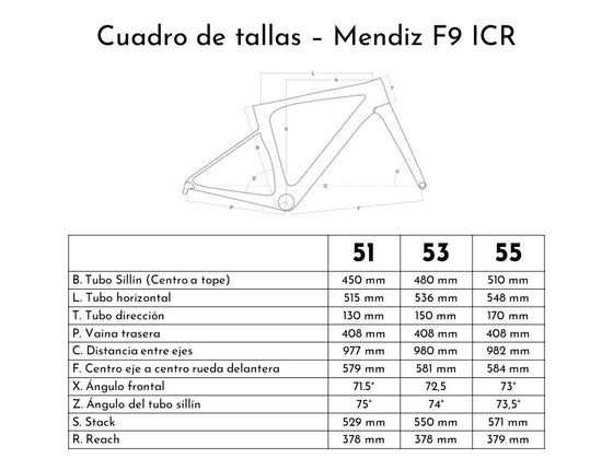 Bicicleta Mendiz F9 2023 Shimano 105 Di2 - Gris Plata