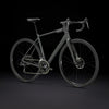 TREK Domane AL 2 Gen 4 GRIS OSCURO (52)
